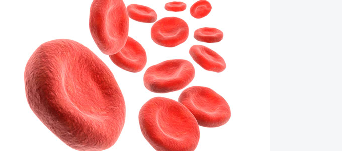 blood